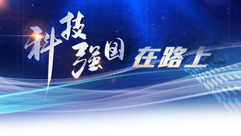 云原生与传统数仓：性能对决，优缺分明**